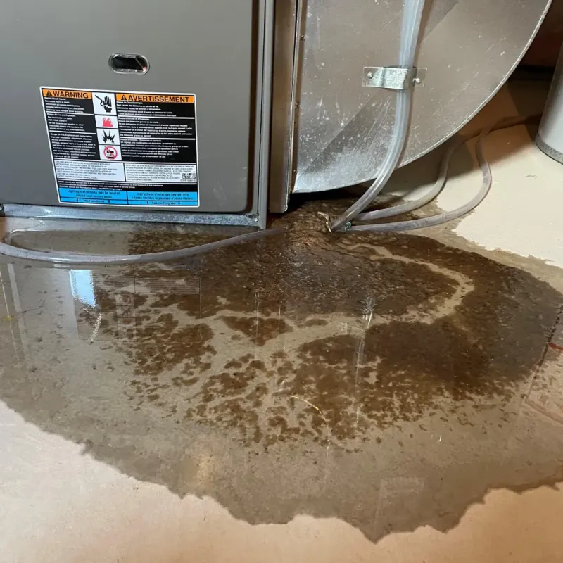 Appliance Leak Cleanup in Signal Mountain, TN