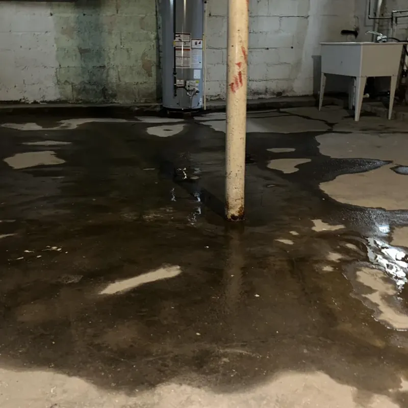 Emergency Water Extraction And Removal in Signal Mountain, TN